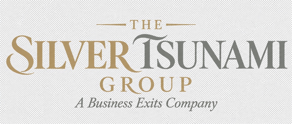 The Silver Tsunami Group logo
